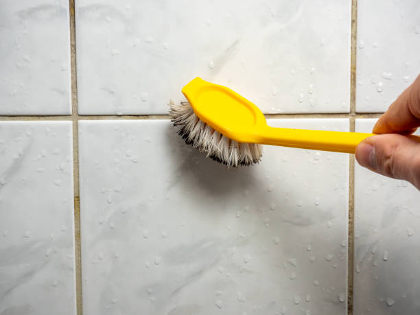 Attic Mold Removal in Hayward, CA