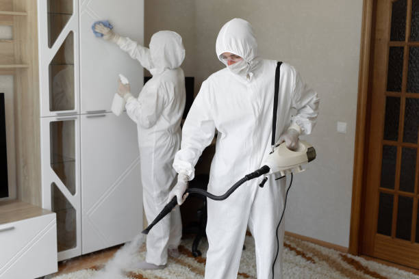 Crawl Space Mold Removal in Hayward, CA