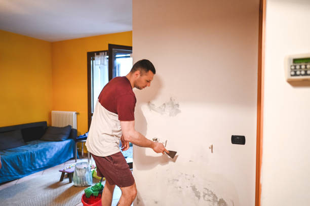 Best Toxic Mold Removal  in Hayward, CA